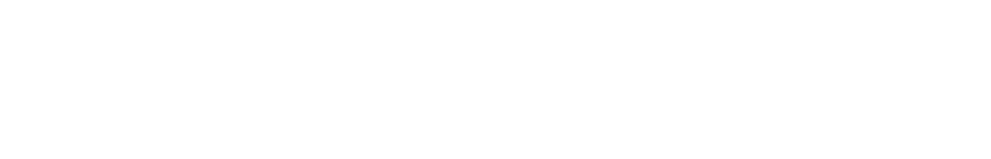 Cybex